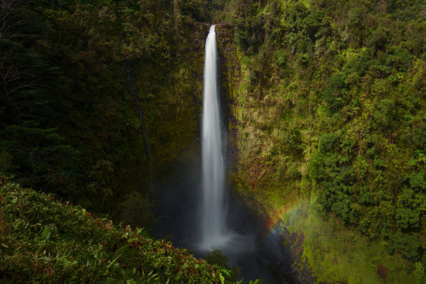 Akaka-Falls---Landscape---2019---For-Web