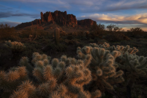 Superstition-Mountain---Cholla---Sunset---For-Web---Orton---2020