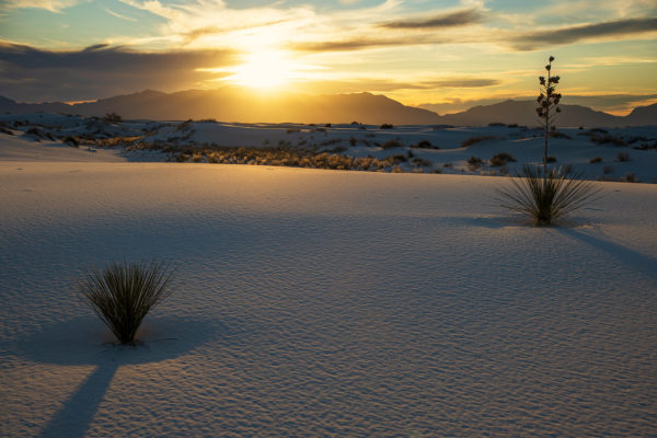 White-Sands-Sunset---Night-One---I---For-Web---2020