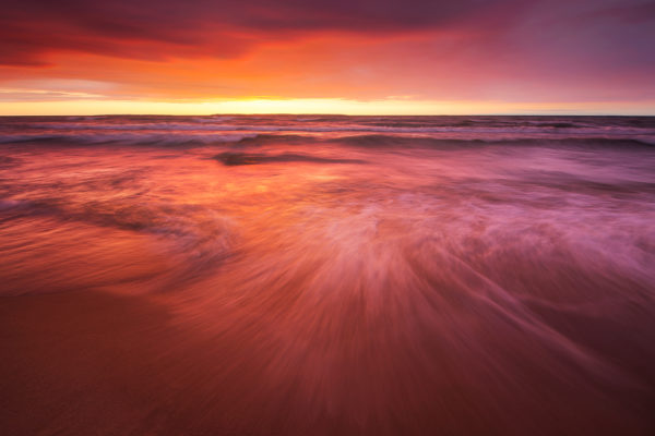 Red-Tide---For-Web