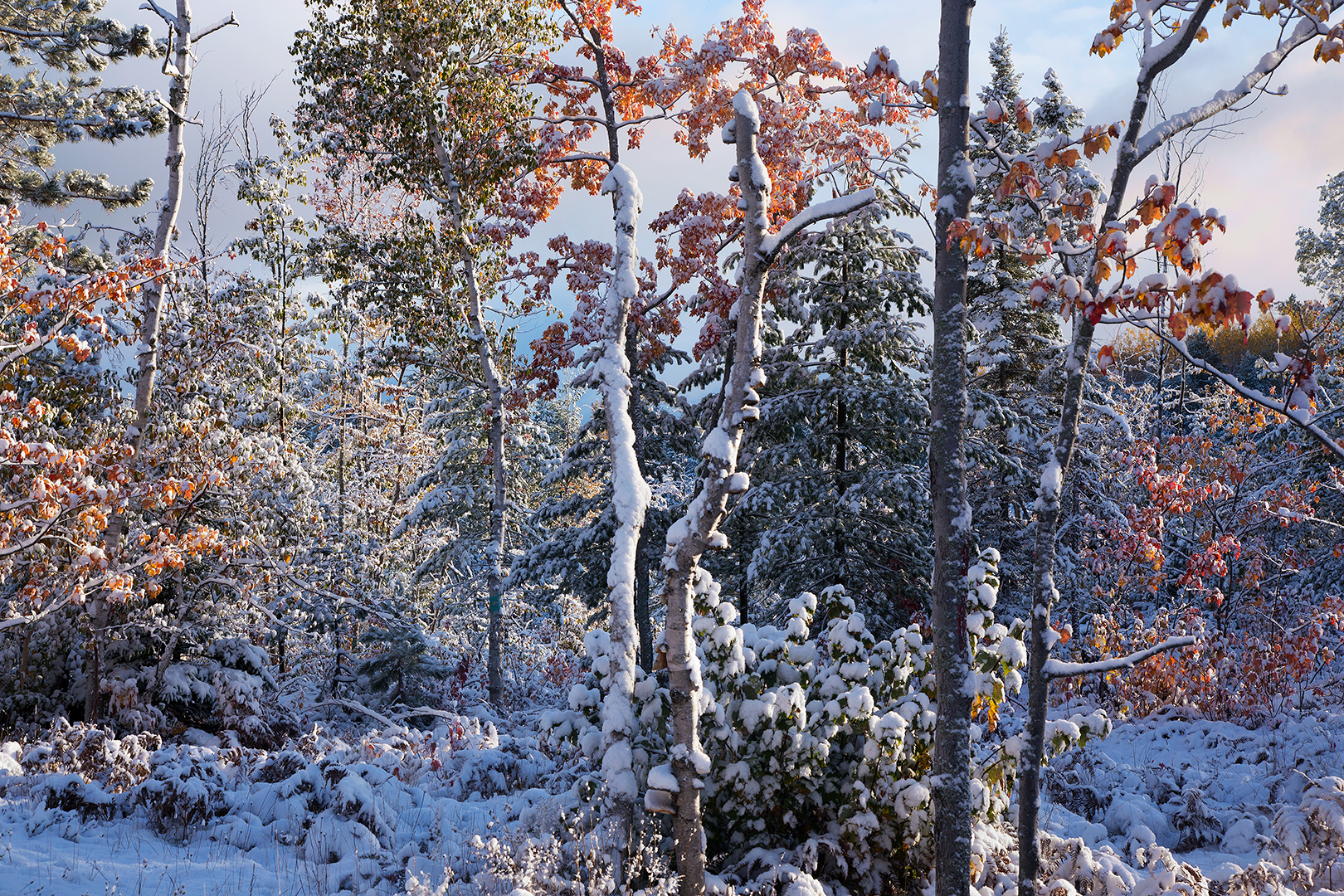 Winter Magic - Michigan - Julian Bunker Photography